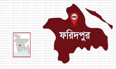 বোয়ালমারীতে ভীমরুলের কামড়ে শিশুর মৃত্যু