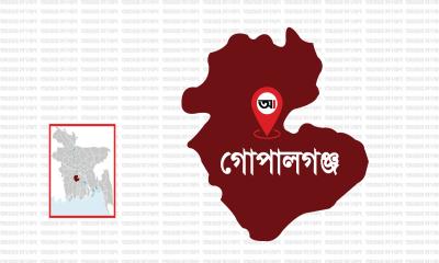 গোপালগঞ্জে বিদ্যুতের ফাঁদে দাদি-নাতিসহ তিনজনের মৃত্যু
