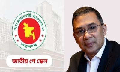 তারেক রহমানের সঙ্গে আলোচনায় বসতে চান সরকারি চাকরিজীবীরা
