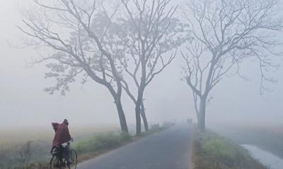 রাজশাহীতে শীতের দাপট, তাপমাত্রা নেমে ৭ ডিগ্রির ঘরে