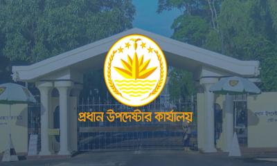 নির্বাচনে আসছেন ৩৩০ আন্তর্জাতিক পর্যবেক্ষক