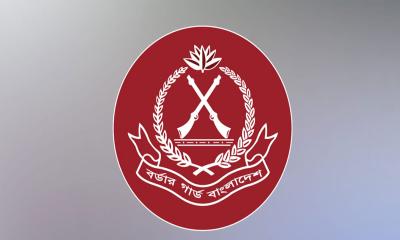 জানুয়ারি মাসে সীমান্ত থেকে ১৩১ কোটি টাকার চোরাচালান পণ্য ও অস্ত্র জব্দ