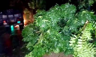 চুয়াডাঙ্গায় কালবৈশাখীর তাণ্ডব, ছাদ থেকে পড়ে বৃদ্ধের মৃত্যু