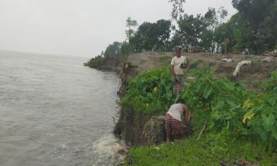 ইসলামপুরে যমুনা নদী ভাঙ্গনে আতঙ্কে মন্নিয়া গ্রামের এলাকাবাসী 