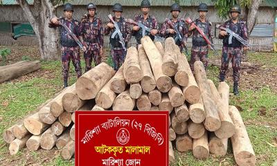 বাঘাইছড়িতে ২৭ বিজিবির অভিযান, বিপুল পরিমাণ অবৈধ সেগুন কাঠ জব্দ