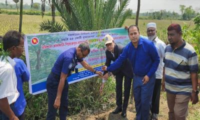 ঝালকাঠি মহাসড়কে বৃক্ষরোপণ কর্মসূচির উদ্বোধন