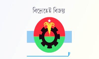 স্বতন্ত্র লড়ে বাজিমাত করলেন বিএনপির ৭ নেতা