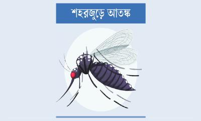 মশার উপদ্রবে অতিষ্ঠ রাজধানীবাসী