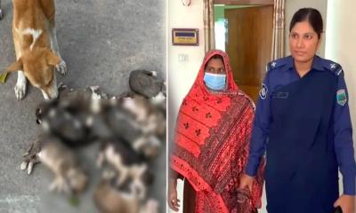 আট কুকুরছানা হত্যা মামলায় নিশি রহমান কারাগারে