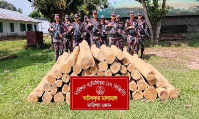 বিজিবির অভিযানে বাঘাইছড়িতে অবৈধ সেগুন কাঠ জব্দ