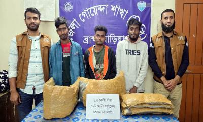 ব্রাহ্মণবাড়িয়ায় ডিবি পুলিশের পৃথক অভিযানে সাড়ে ১০ কেজি গাঁজাসহ আটক ৫