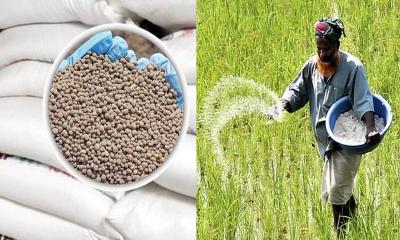 সার ডিলার নিয়োগে শুদ্ধি অভিযান, ‘রাজনৈতিক বলি’ নাকি ‘কৃষক সুরক্ষা’