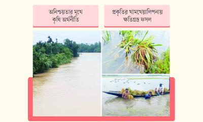 জলবায়ু সংকটে বিপন্ন কৃষি