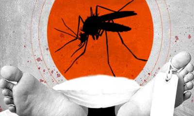 ডেঙ্গুতে আরও ৩ মৃত্যু, হাসপাতালে ৮৩৩
