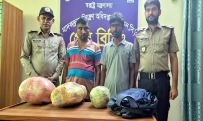 ৭ কেজি গাঁজাসহ দুই মাদক কারবারি আটক