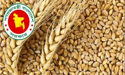 প্রথমবারের মতো যুক্তরাষ্ট্র থেকে গম আমদানি শুরু