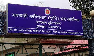 কেন্দুয়ায় জুয়া আইনে জব্দকৃত ষাঁড় প্রকাশ্য নিলামে বিক্রি