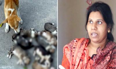 কুকুরছানা হত্যার মামলায় জামিন পেলেন নিশি