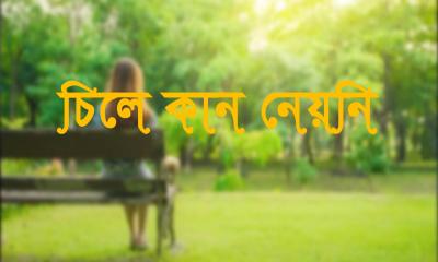 “চিলে কান নেয়নি”