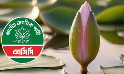 শাপলা কলিসহ নিবন্ধন পেলো এনসিপি