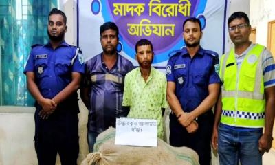 ফুলবাড়ীতে ৭৫ কেজি গাঁজাসহ ২ মাদক কারবারি আটক