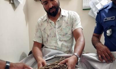 সাদুল্লাপুরে বাসে তল্লাশি, ৩ কেজি গাঁজাসহ যুবক গ্রেপ্তার
