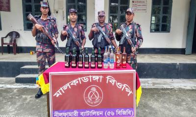 পঞ্চগড় সীমান্তে বিজিবির অভিযান, ভারতীয় গরু ও মদ জব্দ