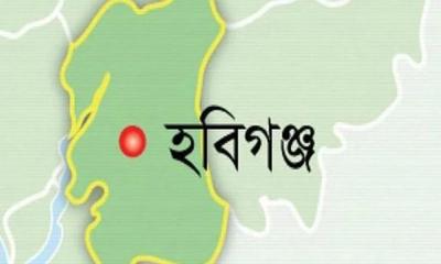 হবিগঞ্জে র‍্যাব ও বিজিবির পৃথক অভিযানে ১২৩ কেজি গাঁজা জব্দ,আটক ২