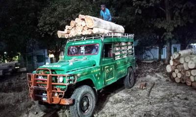 মাটিরাঙ্গা জোনের বিশেষ অভিযানে অবৈধ সেগুন কাঠ জব্দ