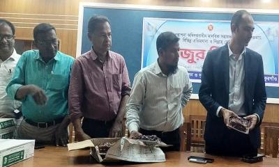 পীরগঞ্জে ১৩০টি মাদরাসায় সরকারি খেজুর বিতরণ