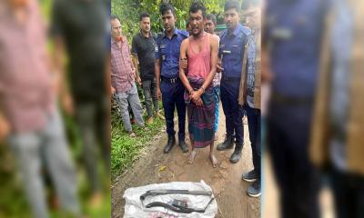 ফেনীতে পুলিশের শটগান ও ওয়াকিটকি নিয়ে উধাও আসামি