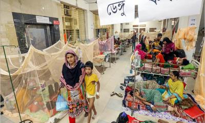 ডেঙ্গুতে মৃত্যু নেই, ২৬৩ জন হাসপাতালে ভর্তি