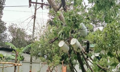 মিরসরাইয়ে ঝড়ে লণ্ডভণ্ড বিদ্যুৎ ব্যবস্থা, ৩০ ঘণ্টা ধরে অন্ধকারে ১০ হাজার পরিবার