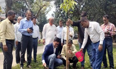 পীরগঞ্জে খাল খনন প্রকল্প পরিদর্শন ও বৃক্ষরোপণ করলেন জেলা প্রশাসক