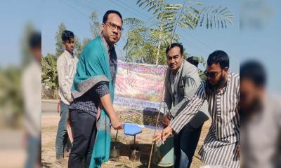 মধুপুর-ময়মনসিংহ মহাসড়কে কৃষ্ণচূড়া, সোনালু ও কাঠবাদাম গাছের চারা রোপণ