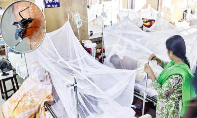ডেঙ্গুতে আরও ৩ মৃত্যু, হাসপাতালে ৭৩৫