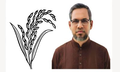 নাটোর-৪ আসনে ধানের শীষের জয়, আব্দুল আজিজ নির্বাচিত