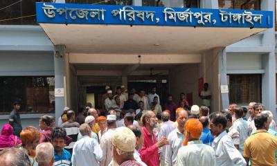 মির্জাপুরে ইটভাটার বিষাক্ত ধোঁয়ায় পুড়ছে কয়েকশ একর জমির ধান