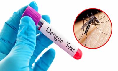ডেঙ্গুতে আরও ১ জনের মৃত্যু, হাসপাতালে ৩৭৪