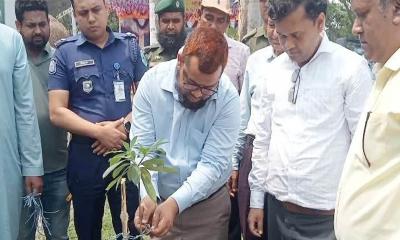 গাইবান্ধায় মহাসড়কে বৃক্ষরোপণ কর্মসূচির উদ্বোধন