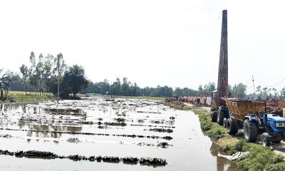 স্থবির ইটভাটা, দিশেহারা মালিক ও শ্রমিক