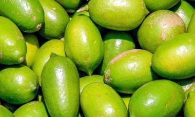 রমজান শুরু হতেই লেবু ২০০ টাকা কেজি