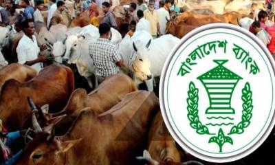 পশুর হাটে জাল নোট শনাক্তে বুথ বসাতে নির্দেশ