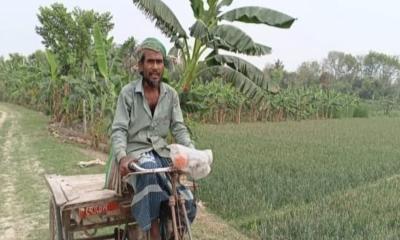বালিয়াকান্দিতে অসহায় ভ্যানচালকের জমি জোরপূর্বক দখলের অভিযোগ