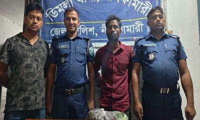 ডিমলায় গাঁজাসহ মাদক কারবারি গ্রেপ্তার
