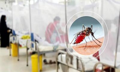 ২৪ ঘণ্টায় ডেঙ্গু নিয়ে হাসপাতালে ২৯ রোগী