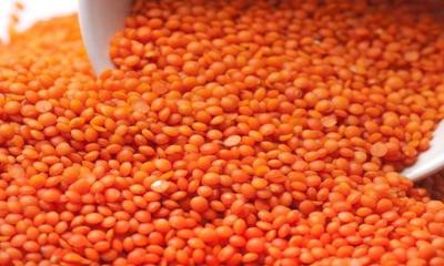 ১৬৮ কোটি টাকার মসুর ডাল কিনবে সরকার