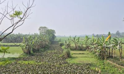 জিয়াউর রহমানের স্মৃতিবিজড়িত জালালপুর খাল দ্রুত পুনঃখননের দাবি স্থানীয়দের