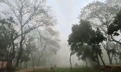 কটিয়াদীতে ফাল্গুনেও দেখা মিলছে ঘন কুয়াশার