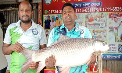 গোয়ালন্দে পদ্মার রুই-কাতলা লক্ষাধিক টাকায় বিক্রি